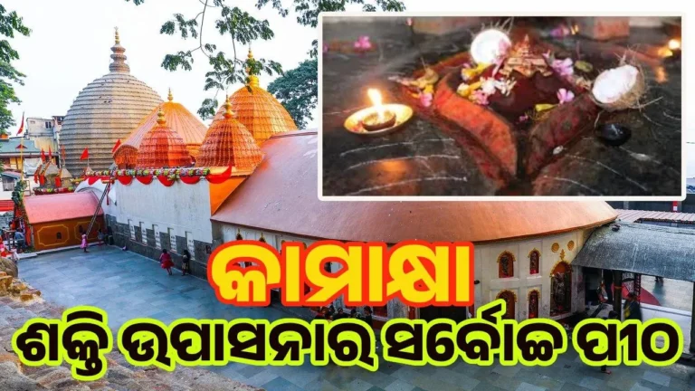 nn-2025-09-28-20-06-14