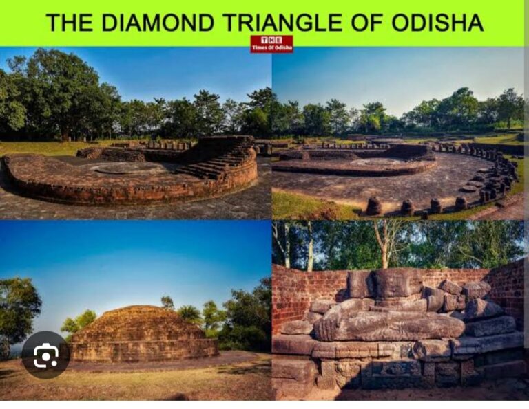 WhatsApp Image 2026-01-24 at 21.16.24