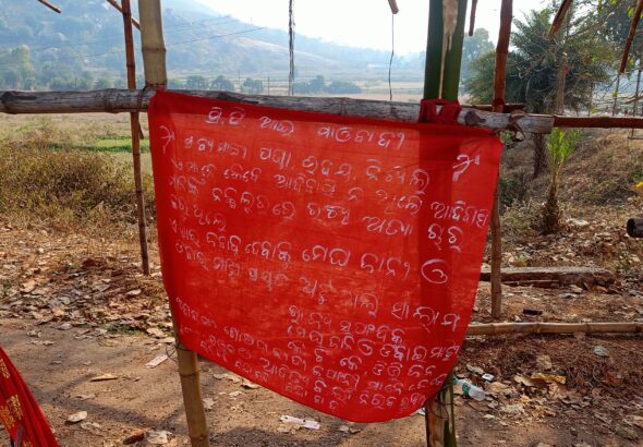 WhatsApp Image 2026-02-13 at 11.09.32