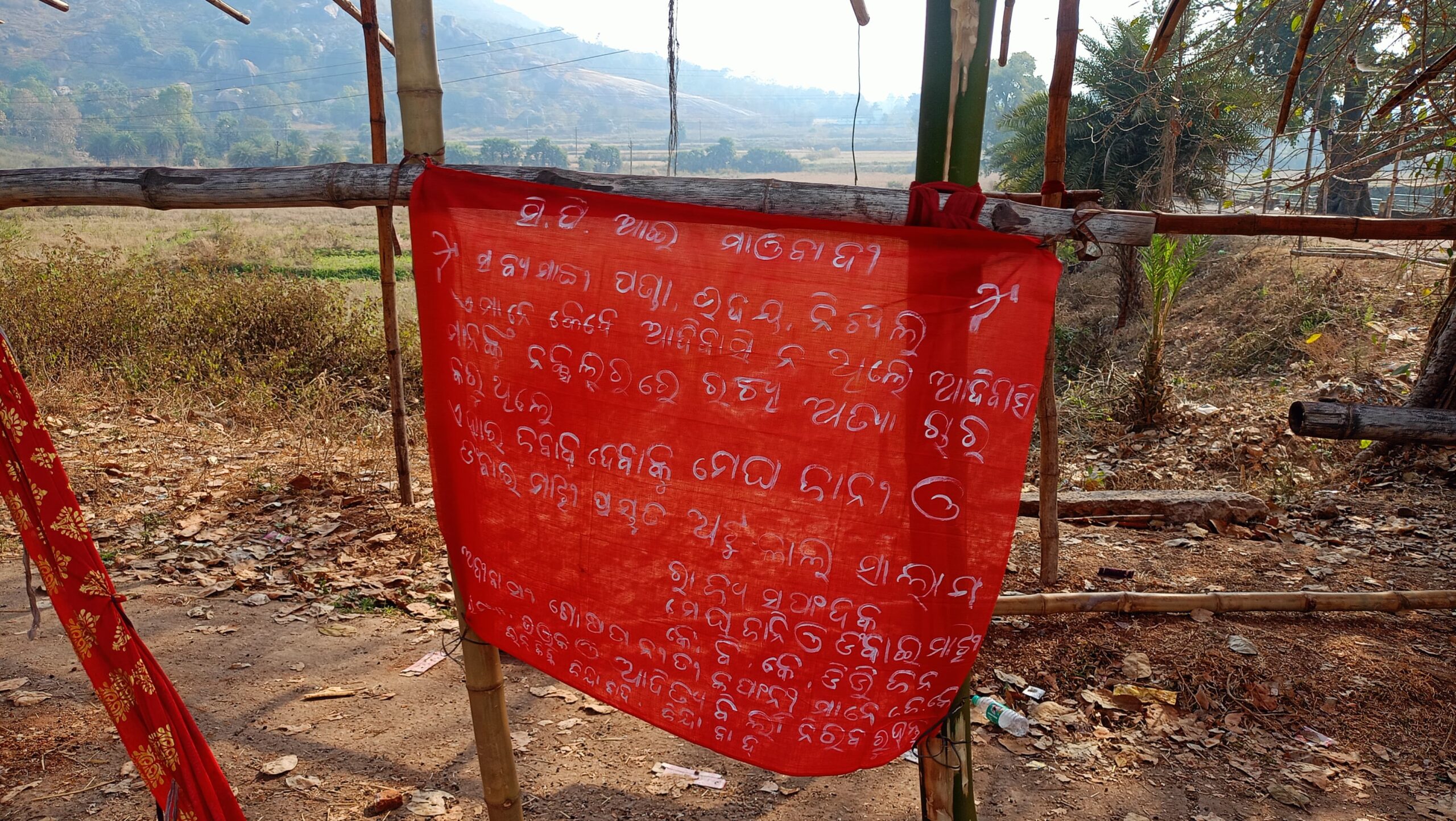 WhatsApp Image 2026-02-13 at 11.09.32