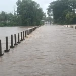 mkg-zilla-rain-re-behal-1-2026-09-24-17-39-54